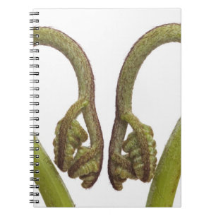 Caderno Espiral Sprouts 2 da samambaia