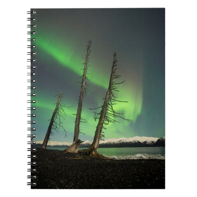 Caderno Espiral Spruce Aurora Esquecido (Frente)