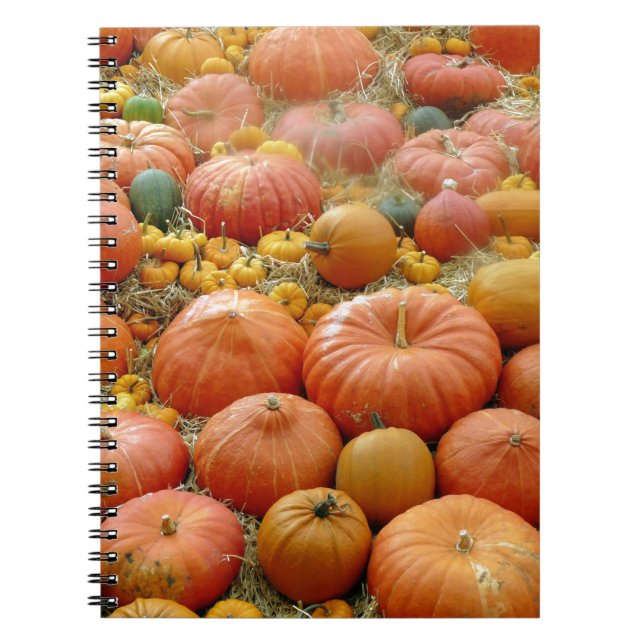 Caderno Espiral Squashes Galore (Frente)