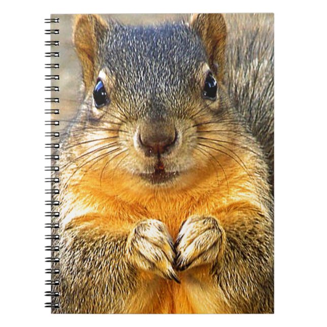Caderno Espiral Squirrel Love (Frente)