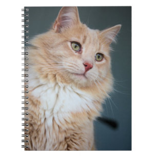 Caderno Espiral Sr. Handsome