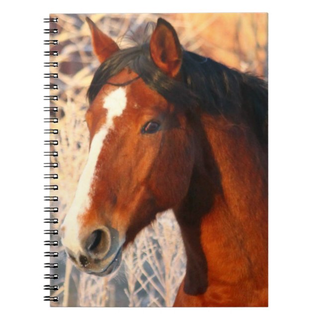 Caderno Espiral Stallion Horse (Frente)