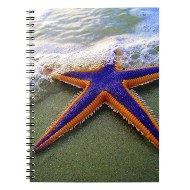 Caderno Espiral Starfish Tropical Sandy Beach Sea Wave (Frente)