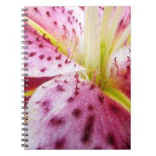 Caderno Espiral Stargazer Lily Bright Magenta Floral