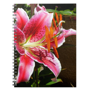 Caderno Espiral Stargazer Lily Fotografia