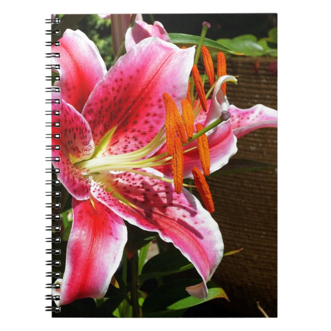 Caderno Espiral Stargazer Lily Fotografia (Frente)