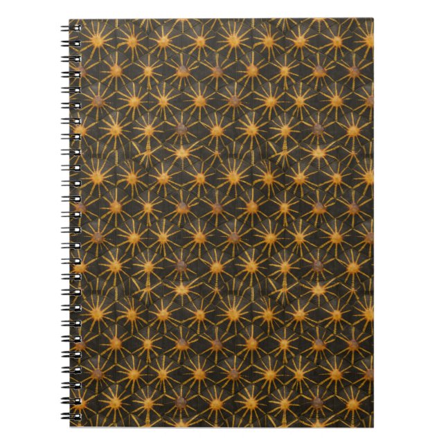 Caderno Espiral Starshield Radiata | Geométrico Dourado Celestial (Frente)