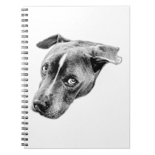 Caderno Espiral Steady Gaze para Pensamentos Estáveis