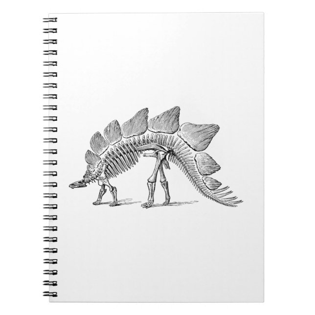 Caderno Espiral Stegossauro Dinossauro Esqueleto Fóssil (Frente)
