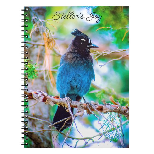 Caderno Espiral Steller's Jay - Fotografia original (Frente)