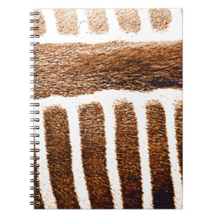 Caderno Espiral Stripes castanhas_