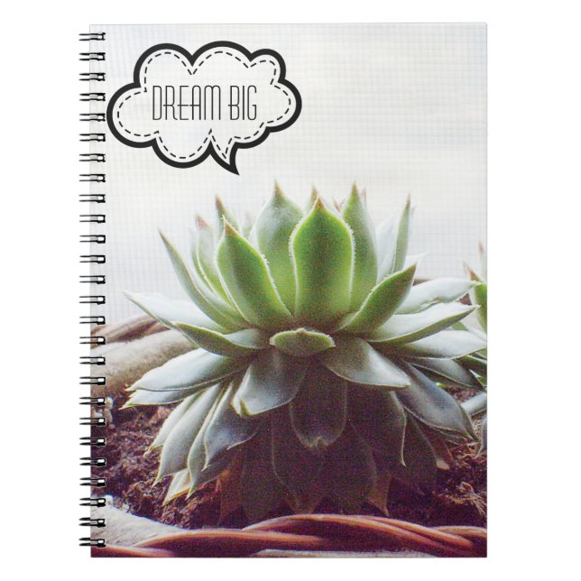 Caderno Espiral Suculente Aeonium Dream Grande Citação (Frente)