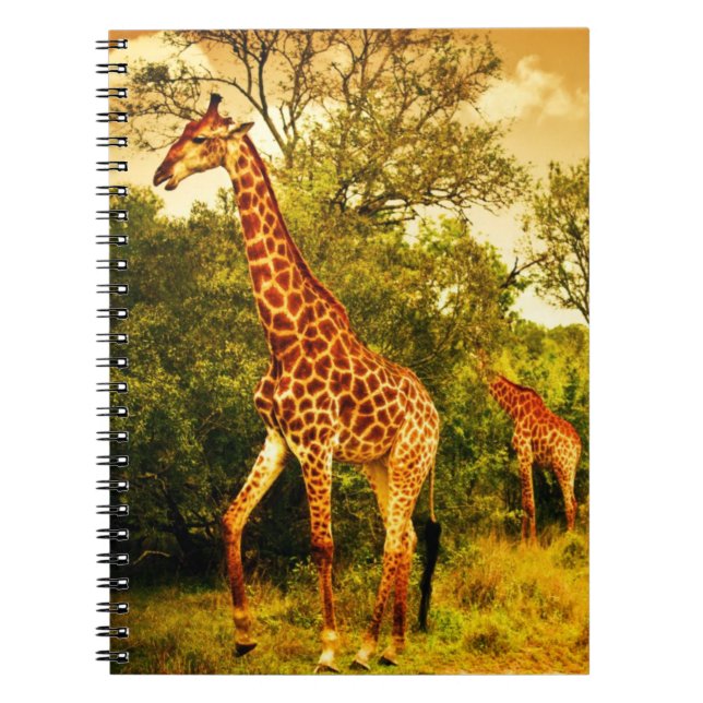 Caderno Espiral Sul - girafas africanos (Frente)
