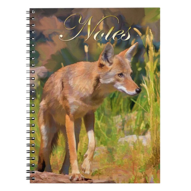 Caderno Espiral Summer Coyote Wildlife Painting (Frente)