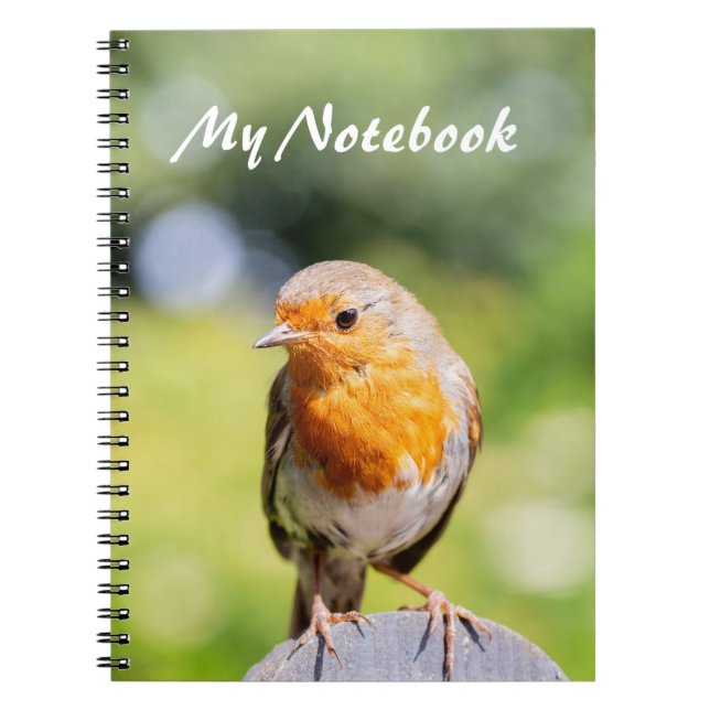 Caderno Espiral Summer Robin (Frente)