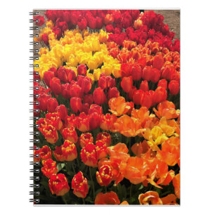 Caderno Espiral Sunset Tulip Garden Bed, Oregon