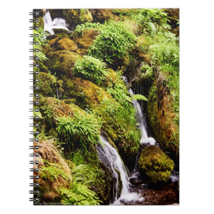 Caderno Espiral Superior e Inferior