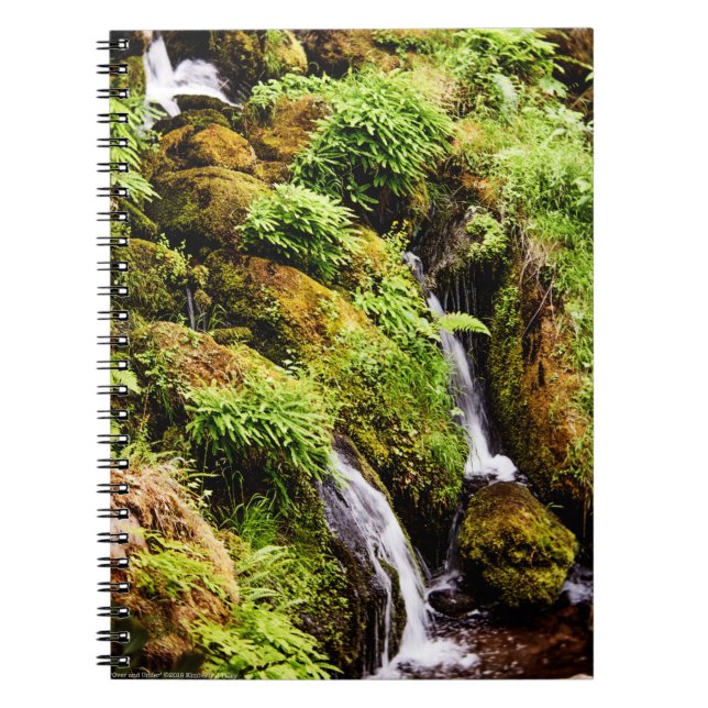 Caderno Espiral Superior e Inferior (Frente)