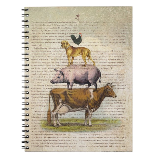 Caderno Espiral Suporte A1.tif da fazenda NOB10 (Frente)