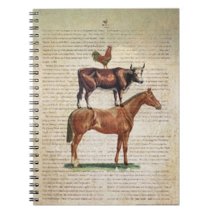 Caderno Espiral Suporte C1.tif da fazenda NOB12