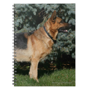 Caderno Espiral Suporte da mostra do german shepherd