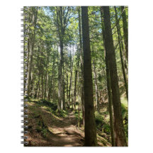 Sussuros da Floresta