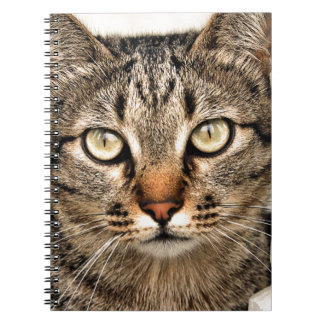 Caderno Espiral Tabby Cat