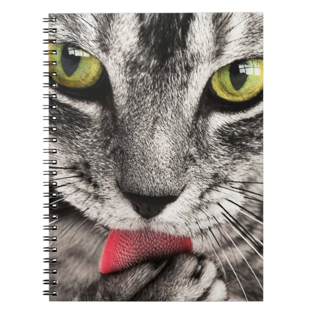 Caderno Espiral Tabby Cat Licing Paw (Frente)