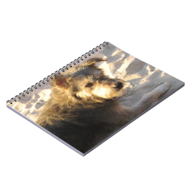 Caderno Espiral Tailandês Beach Dog (Left Side)