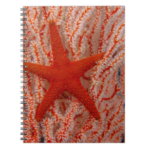 Caderno Espiral Tailândia, Estrela do Mar