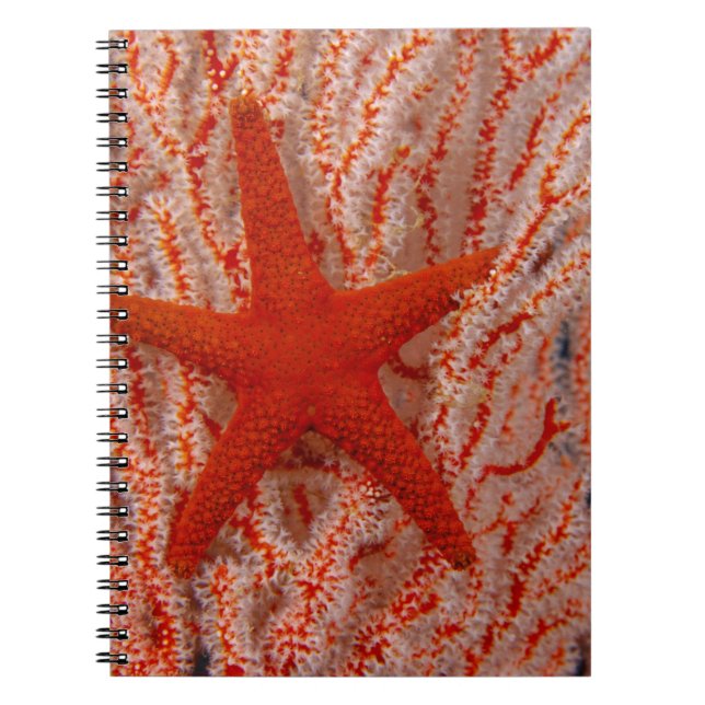 Caderno Espiral Tailândia, Estrela do Mar (Frente)
