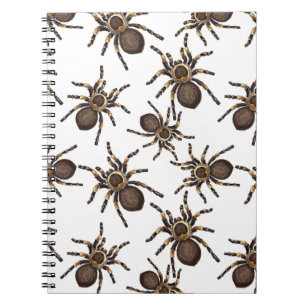 Caderno Espiral Tarantula em branco