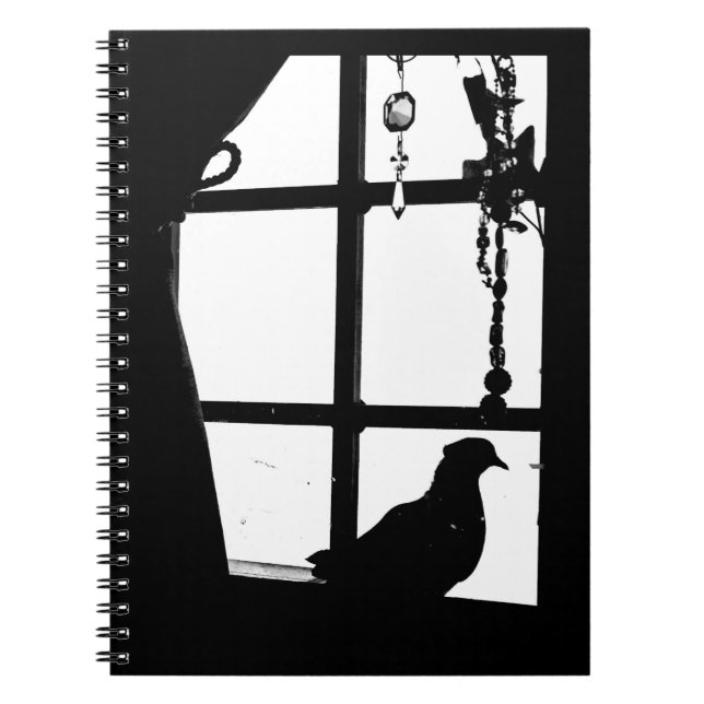 Caderno Espiral Tarde Pigeon (Frente)