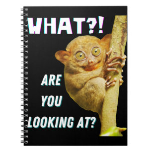 Caderno Espiral Tarsier Engraçado de Olhos Grandes O Que Você Está
