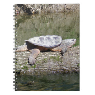 Caderno Espiral Tartaruga de estalagem
