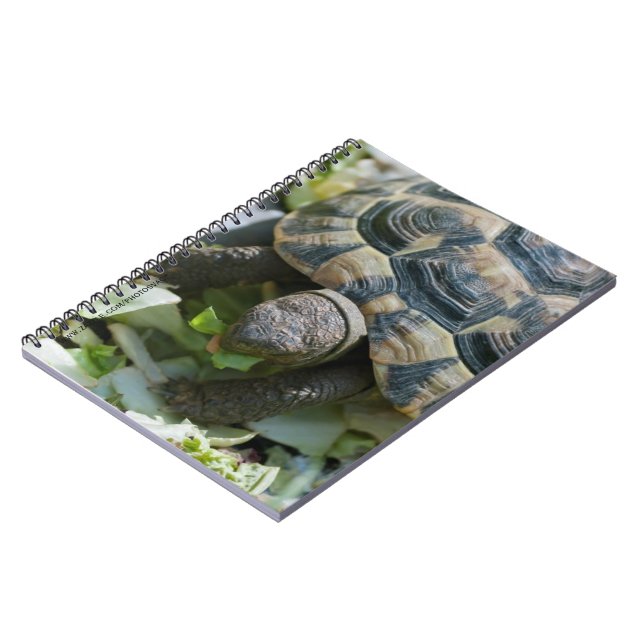 Caderno Espiral Tartaruga Fofa (Left Side)