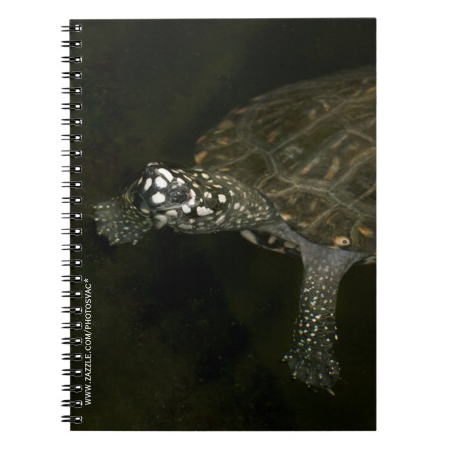 Caderno Espiral Tartaruga Nadando (Frente)