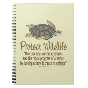 Caderno Espiral Tartarugas marinhas