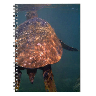 Caderno Espiral Tartarugas marinhas do Havaí