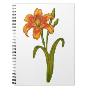 Caderno Espiral Tawny Daylily