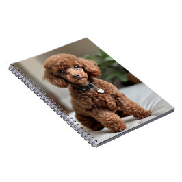 Caderno Espiral Teacup Poodle 2