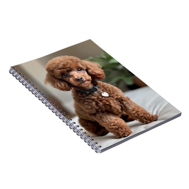 Caderno Espiral Teacup Poodle 2 (Lado Direito)