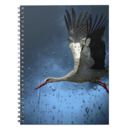 Caderno Espiral Tempestade