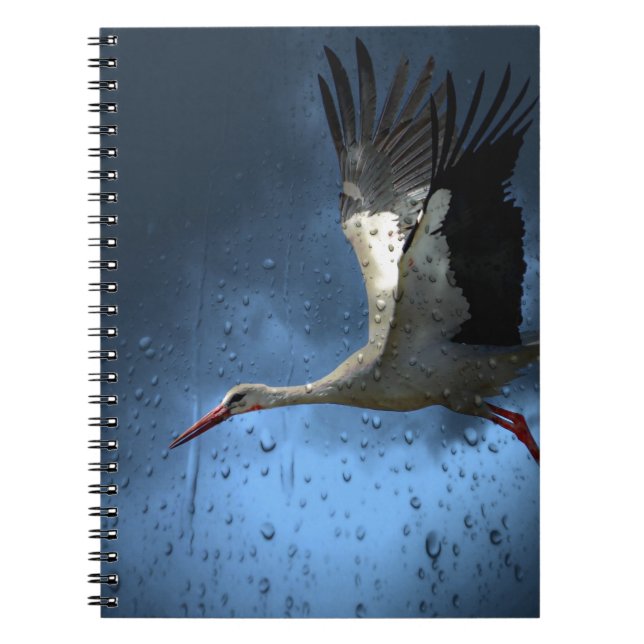 Caderno Espiral Tempestade (Frente)