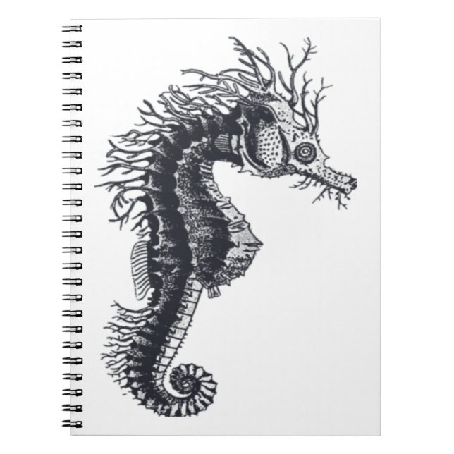 CADERNO ESPIRAL TEMPORADA (Frente)