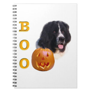 Caderno Espiral Terra Nova - Halloween Boo