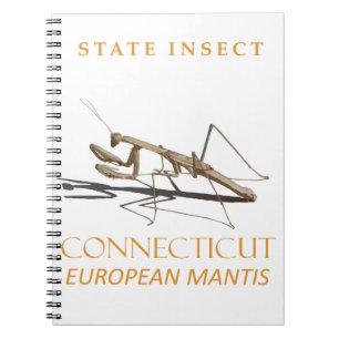 Caderno Espiral Território de Connecticut Inseto Mantis religiosa