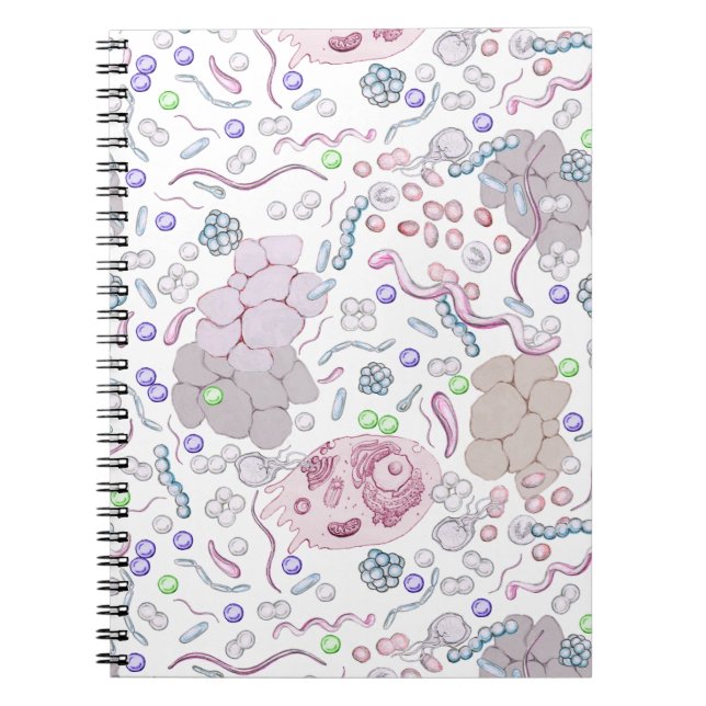 Caderno Espiral Teste padrão da microbiologia (Frente)
