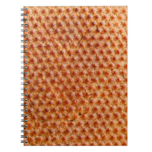 Caderno Espiral Textura do pão com muitos pontos (após cozinhar em