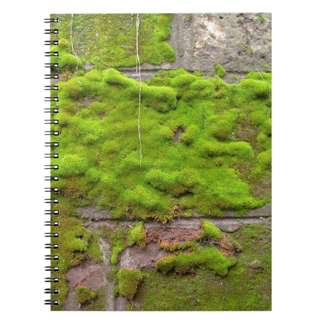 Caderno Espiral Textura verde de rocha do muro do Moss (Frente)